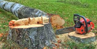 Best Tree Preservation Services  in Roodhouse, IL